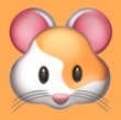 WWW,463se·COM网站APPAPP应用